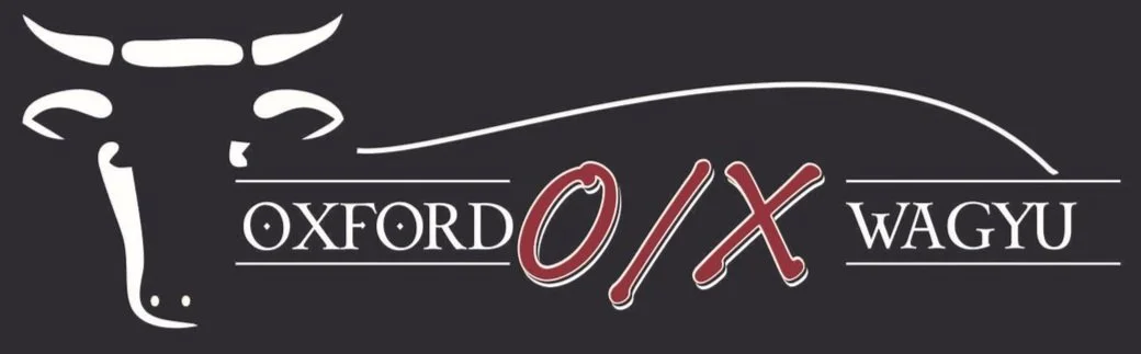 Oxford Wagyu | Grass-Fed American Wagyu Beef | Bed & Breakfast